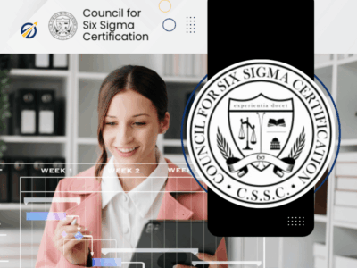 Lean Six Sigma Black Belt